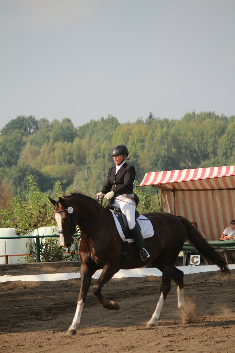 Woman in equestrian attire riding a dark bay horse in a dressage competition.